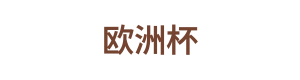 欧洲杯 Logo